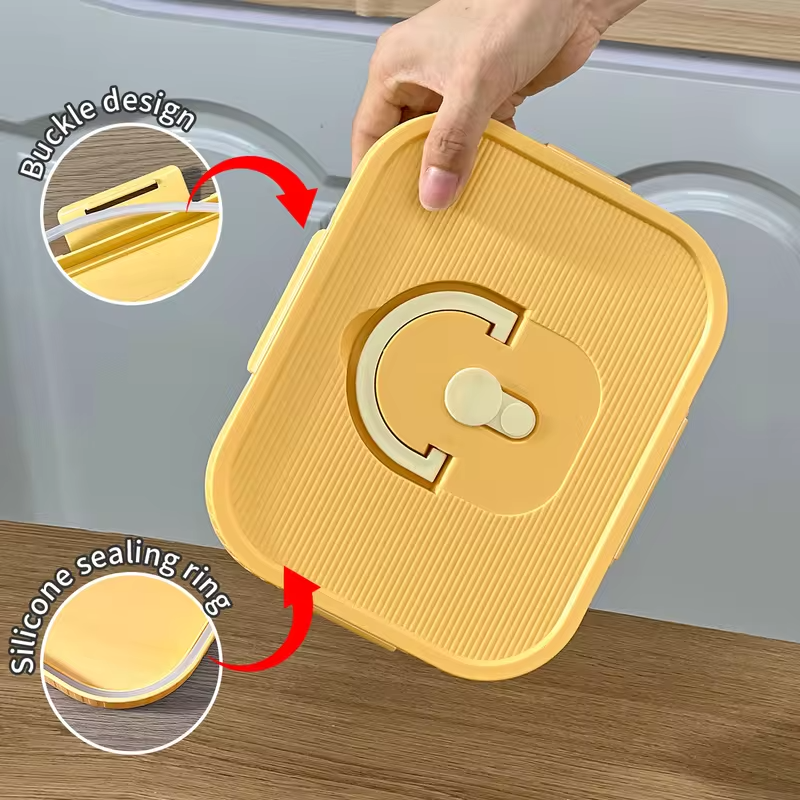 Microwave Plastic Divided Lunch Box With Handle Camping Picnic Portable Leak-proof Fruit Salad Food Container For Kids Students